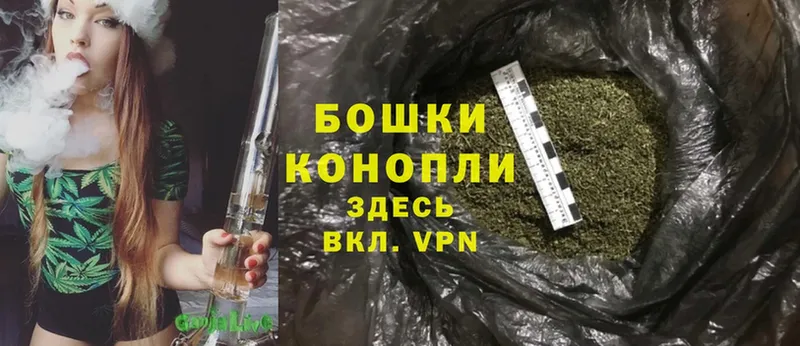 где найти   Чусовой  Каннабис OG Kush 